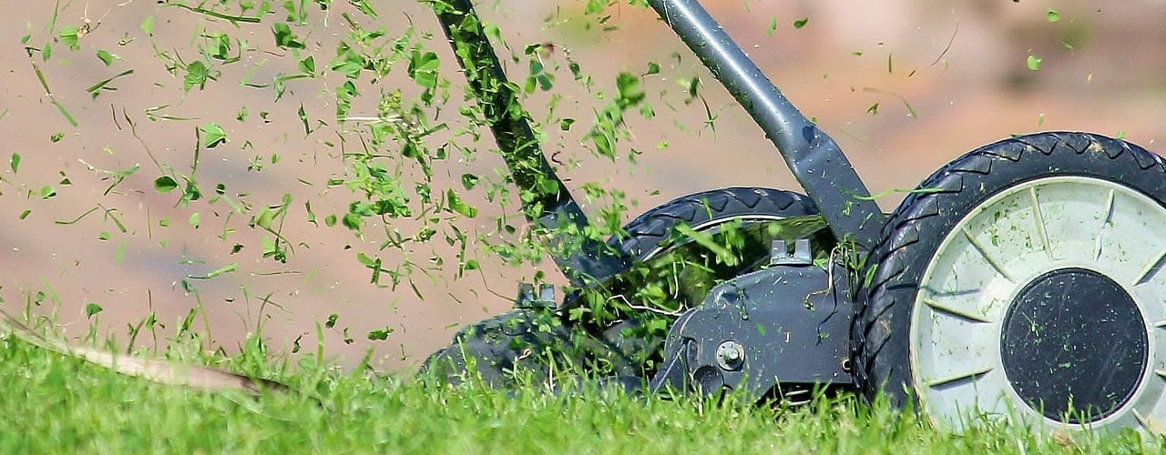 LAWNTECH, Inc. Lawn Care Service Company in New Jersey